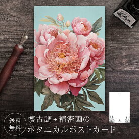 ポストカード シャクヤク 【送料無料】 ボタニカル 葉書 はがき ハガキ 絵葉書 絵はがき グリーティングカード メッセージカード クリスマスカード バースデーカード お祝い クリスマス バレンタイン 誕生日 おしゃれ 可愛い 花 絵 イラスト しゃくやく 芍薬