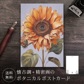 ポストカード ヒマワリ 【送料無料】 ボタニカル 葉書 はがき ハガキ 絵葉書 絵はがき グリーティングカード メッセージカード クリスマスカード バースデーカード お祝い クリスマス バレンタイン 誕生日 おしゃれ 可愛い 花 絵 イラスト ひまわり 向日葵