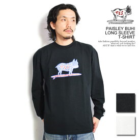 The Endless Summer エンドレスサマー TES PAISLEY BUHI LONG SLEEVE T-SHIRT メンズ Tシャツ 長袖 ロンT 送料無料 ストリート