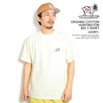 楽天市場】tes パイル地 tシャツ（素材（生地・毛糸）綿・コットン）の通販