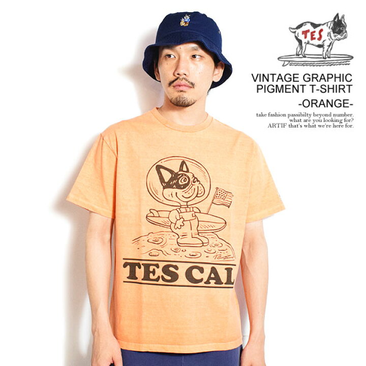 楽天市場】The Endless Summer エンドレスサマー TES VINTAGE GRAPHIC 