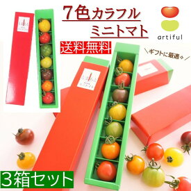 7色カラフルミニトマト 熊本県産7粒 3箱セット