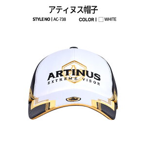 y10OFFN[|zz! zARTINUS AeBkX tBbVO Lbv ނXq AC-737/738/739 ؍i AEghA ނ ؍uh ނ ދ ނ蓹 ނp