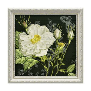 yN[|zzBLACKFRIDAYZ[z f{ XuXg[V [Y2v CeAG AeB[N A[gz A[gt[ Ǌ| z zG