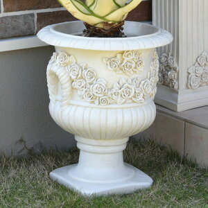 薔薇 鉢の人気商品 通販 価格比較 価格 Com