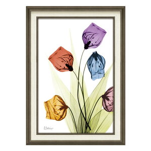 m1,485~OFFN[|11/15܂Łn X RAY LoXA[guT_[\jAiMTCYjv CeAG AeB[N A[gz A[gt[ Ǌ| z zG