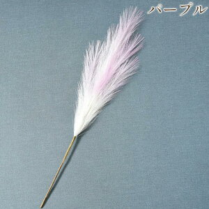 nEBSALEy30%OFFz  A  t[AW t[AW XXL fR[V 73cm RR vZX AeB[N [sA AƋ Pn IV fU