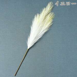 匈ZyN[|30%OFFz  A  t[AW t[AW XXL fR[V 73cm RR vZX AeB[N [sA AƋ Pn IV 