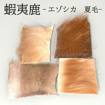 楽天市場】フライマテリアル ディアヘアの通販