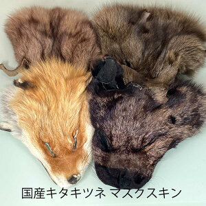 L^Lcl }XN XL wbh tC}eA kCY EGbgtC Xg[}[ hCtC jt Lcl   tHbNX FOX