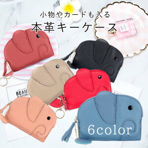 yԌ3,300~1,000~zL[P[X fB[X  Mtg{v X}[gL[ 2 J[h K Y uh  ^ hZ  ]E 