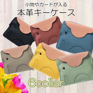 yԌ3,520~1,760~zL[P[X fB[X  Mtg{v X}[gL[ 2 J[h K Y uh  ^ hZ  RC LN^[