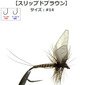 楽天市場 ドライフライの通販