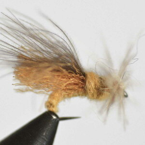 yX[p[Z[10%ItN[|zhCtC o[uX CDC JfBX A_g ^ (18 20 22) itC tC tBbVO  ނ } Ci A}S k Ǘނ A[ 