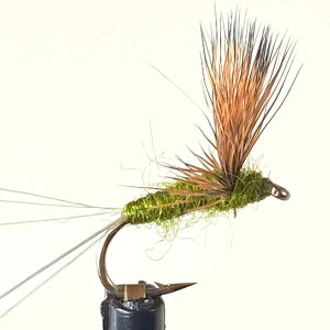 hCtC Rp_ I[u (#14 #16) itC tC tBbVO  ނ } Ci A}S k Ǘނ A[ ދ