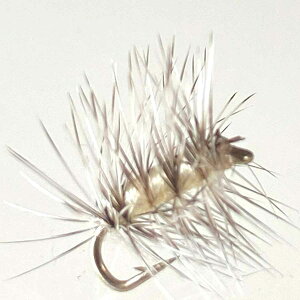 hCtC OtBXibg N[ (#16 #18 #20) itC tC tBbVO  ނ } Ci A}S k Ǘނ A[ ދ