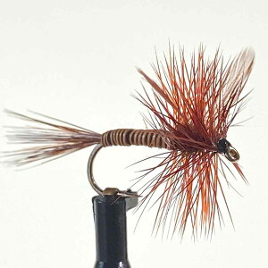 hCtC bhNC (#12 #14 #16 #18) itC tC tBbVO  ނ } Ci A}S k Ǘނ A[ ދ