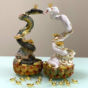 2025 VN N x    ^㏸ ɐ J^ ƓS  蕨 Mtg N u