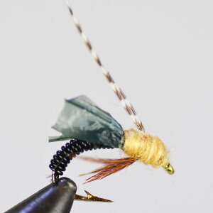 JCS GLgbN JfBXs[p ubN (#14 #16 #18) jt o[uh tCtBbVO tC tC