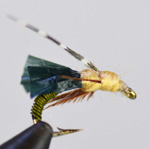 JCS GLgbN JfBXs[p I[u (#14 #16 #18) jt o[uh tCtBbVO tC tC