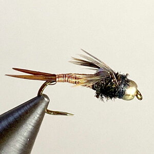 jt Jbp[W (#10 #12 #14 #16) itC tC tBbVO  ނ } Ci A}S k Ǘނ A[ ދ