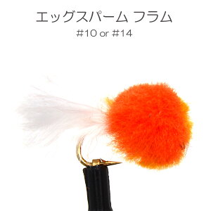 jt GbOp^[ Xp[ t (#10 #14) o[uX o[uh itC tC tBbVO  ނ } Ci A}S k Ǘނ A[ ދ