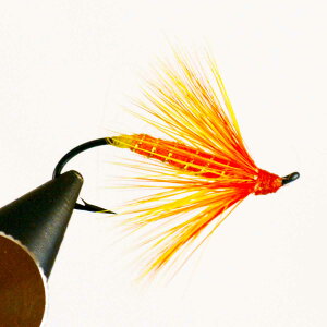 yX[p[Z[10%ItN[|zT[tC IWubT (#4 #6 #8) ^ { TN}X } TcL}X CgE Ci