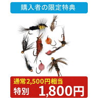 【購入者限定】おすすめニンフフライ10本セット｜完成フライ 厳選パターン 初心者にも安心