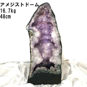 t[ AWXg h[ 16.7kg 48cm uWY H AWXgh[ p[Xg[ Xs`A WI[h LZh hD[W