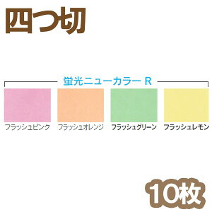 j[J[R ʐF l u 10g `  Fp S[N
