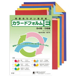 両面色違い 造形紙 カラードフォルムE B4判 薄口 再生紙 5枚組 日本色研