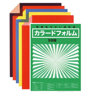 両面色違い 造形紙 カラードフォルム B3判 厚口 5枚組 日本色研 【 色紙 工作紙 】