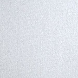 񂹕i NTJx Ogʎ   V[g 20 The Langton Kusakabe y ʉ Rbg z