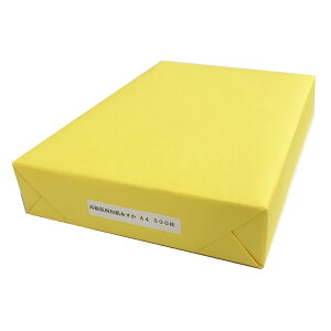 GXPg  ŉp A4 210×297mm 52.5kg 500g y ͂ ͂ a z