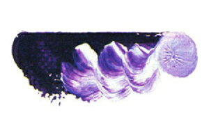 [ [։ ] }c_ X[p[G̋ RogoCIbgfB[v 6 20ml 1{ y G  G c z