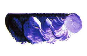 [ [։ ] }c_ X[p[G̋ X[p[oCIbg 6 20ml 1{ y G  G c z