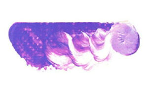 [ [։ ] }c_ X[p[G̋ RogoCIbg 6 20ml 1{ y G  G c z