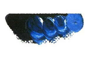 [ [։ ] }c_ X[p[G̋ VAju[ 6 20ml 1{ y G  G c z