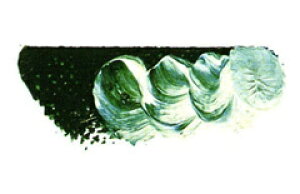 [ [։ ] }c_ X[p[G̋ rWGLXg 6 20ml 1{ y G  G c z