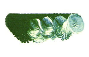 [ [։ ] }c_ X[p[G̋ RogO[fB[v 6 20ml 1{ y G  G c z