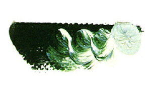 [ [։ ] }c_ X[p[G̋ Jh~EO[fB[v 6 20ml 1{ y G  G c z