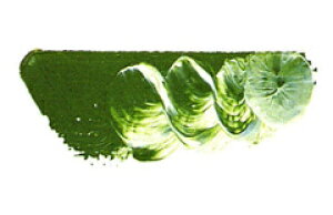 [ [։ ] }c_ X[p[G̋ ILTCgIuN~A 6 20ml 1{ y G  G c z