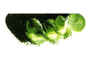 [ [։ ] }c_ X[p[G̋ TbvO[ 6 20ml 1{ y G  G c z