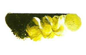 [ [։ ] }c_ X[p[G̋ I[uO[ 6 20ml 1{ y G  G c z