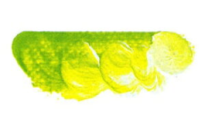 [ [։ ] }c_ X[p[G̋ X[p[O[Cg 6 20ml 1{ y G  G c z