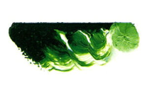 [ [։ ] }c_ X[p[G̋ X[p[O[fB[v 6 20ml 1{ y G  G c z