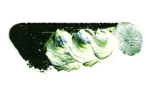 [ [։ ] }c_ X[p[G̋ e[xgGLXg 6 20ml 1{ y G  G c z