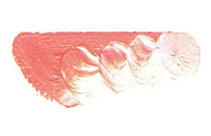 [ [։ ] }c_ X[p[G̋ WuANo.5 6 20ml 1{ y G  G c z