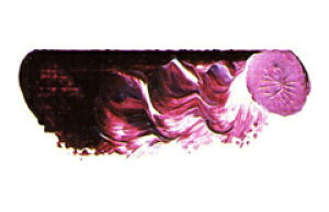 [ [։ ] }c_ X[p[G̋ p[v}_[ 6 20ml 1{ y G  G c z