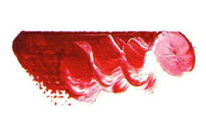 [ [։ ] }c_ X[p[G̋ uCgbhfB[v 6 20ml 1{ y G  G c z